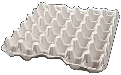 Egg Tray